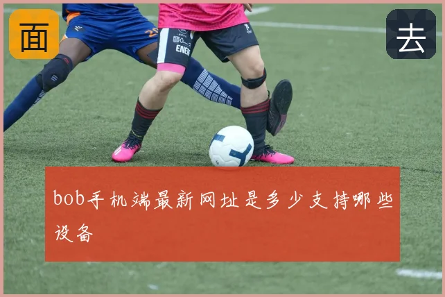 bob手机端最新网址是多少支持哪些设备